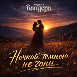 Обложка релиза «Ночкой тёмною не гони»